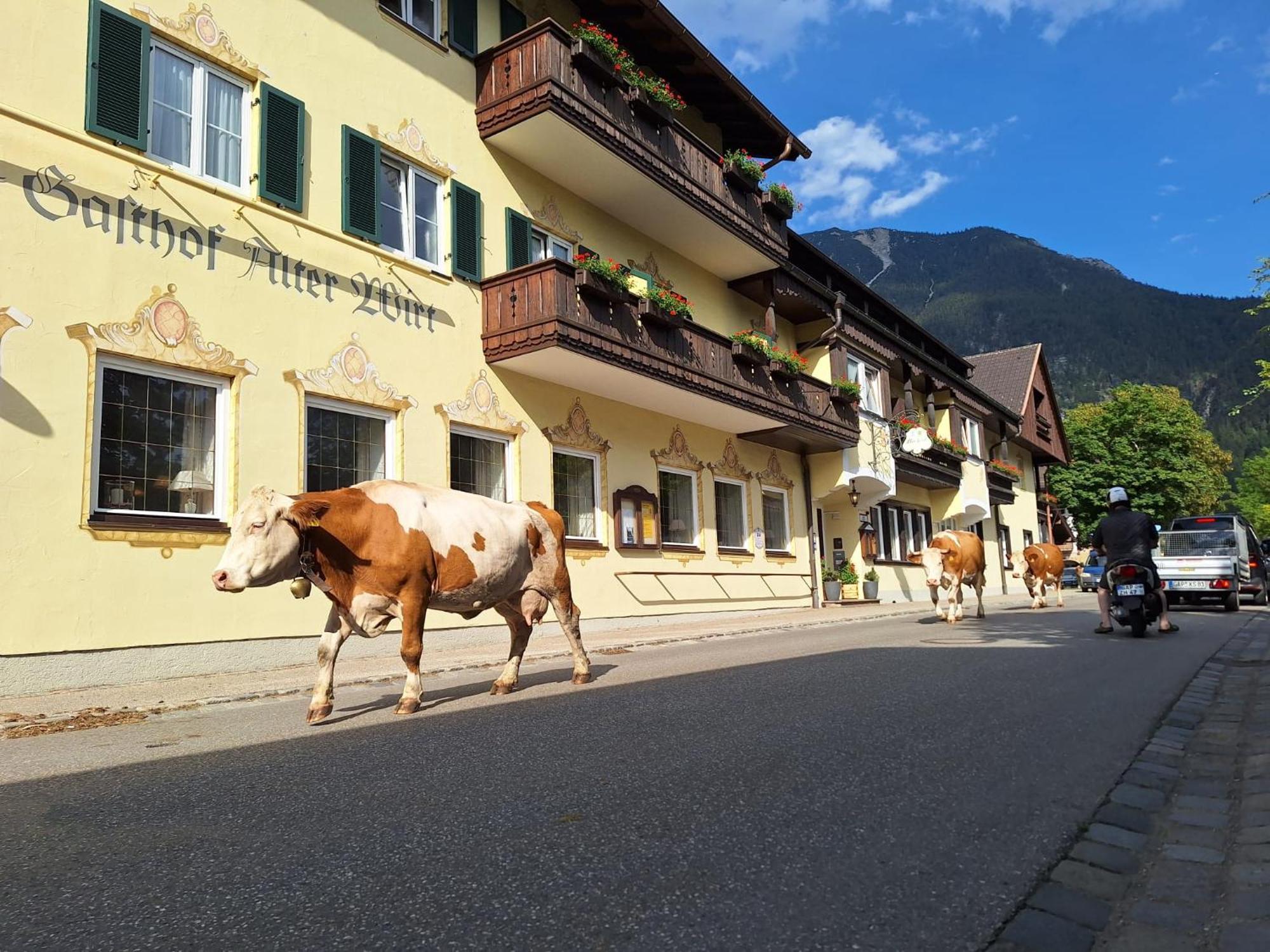 Hotel Gasthof Alter Wirt Farchant Exteriér fotografie