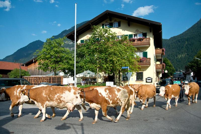 Hotel Gasthof Alter Wirt Farchant Exteriér fotografie